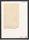 Amphiprora tahitensis Grun. (de-Toni-Nr.: Genus 29, Species 1321) Zeichnungen Sammlung Grunow (NHMW-BOT-W0369725)